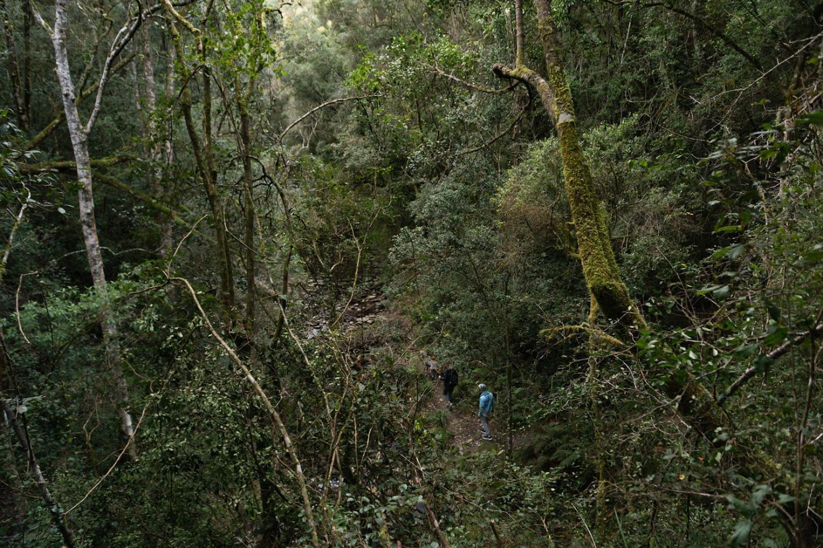 Moonshine On Whiskey Creek Villa The Crags Luaran gambar