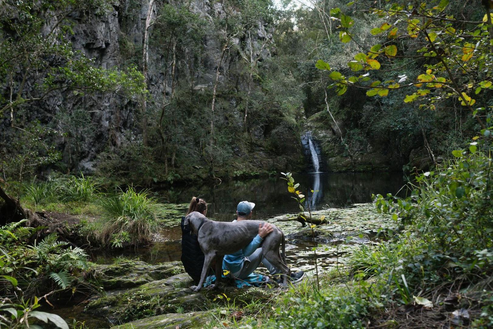 Moonshine On Whiskey Creek Villa The Crags Luaran gambar
